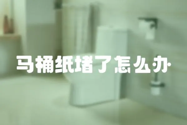 馬桶紙堵了怎么辦