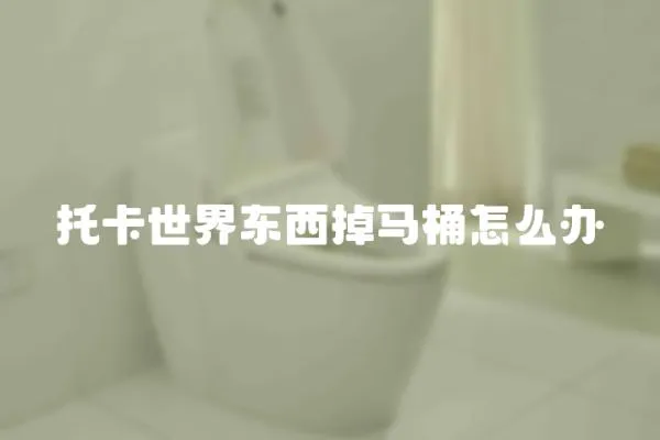 托卡世界東西掉馬桶怎么辦