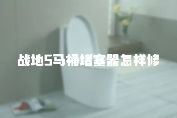 戰地5馬桶堵塞器怎樣修