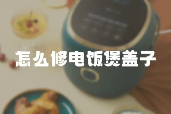 怎么修電飯煲蓋子