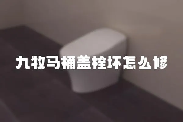 九牧馬桶蓋栓壞怎么修