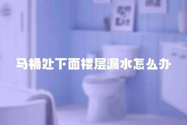 馬桶處下面樓層漏水怎么辦