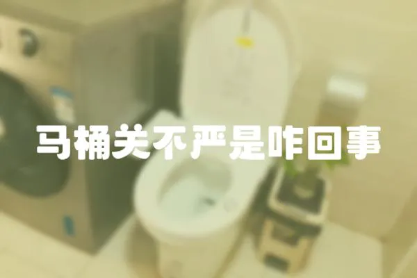 馬桶關不嚴是咋回事