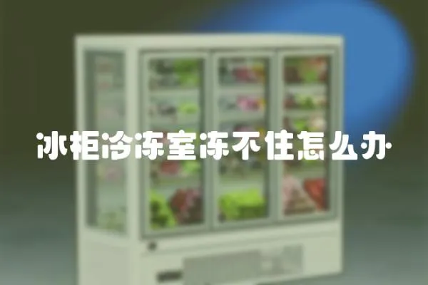 冰柜冷凍室凍不住怎么辦