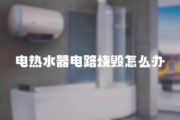 電熱水器電路燒毀怎么辦