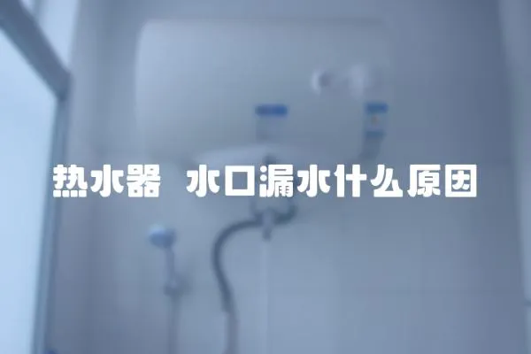 熱水器岀水口漏水什么原因
