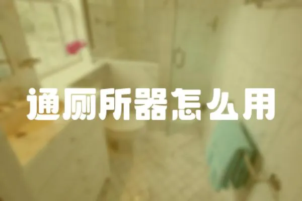 通廁所器怎么用