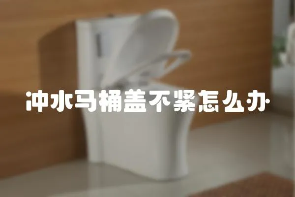 沖水馬桶蓋不緊怎么辦