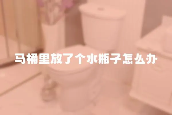 馬桶里放了個(gè)水瓶子怎么辦