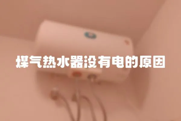 煤氣熱水器沒有電的原因