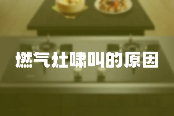 燃氣灶嘯叫的原因