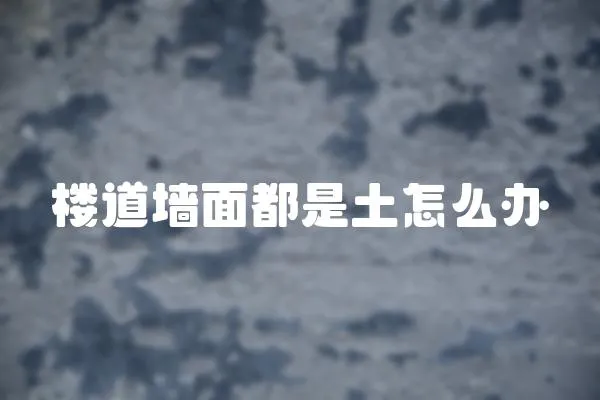 樓道墻面都是土怎么辦