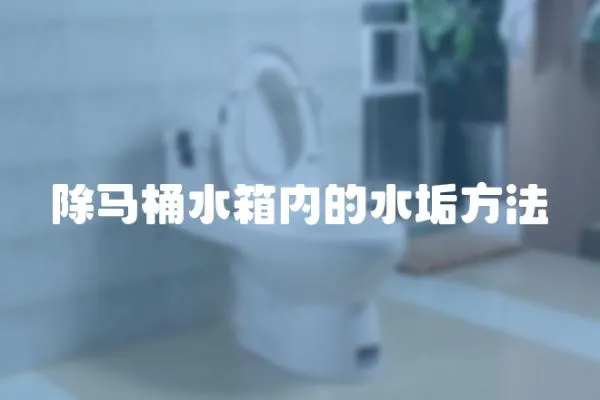 除马桶水箱内的水垢方法