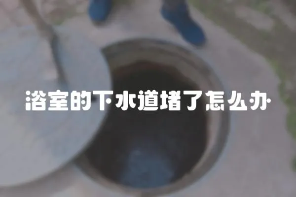 浴室的下水道堵了怎么辦