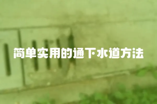 簡單實用的通下水道方法