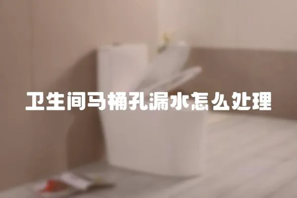 衛生間馬桶孔漏水怎么處理