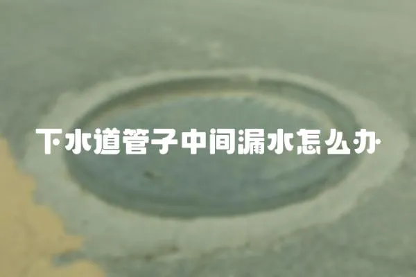 下水道管子中間漏水怎么辦