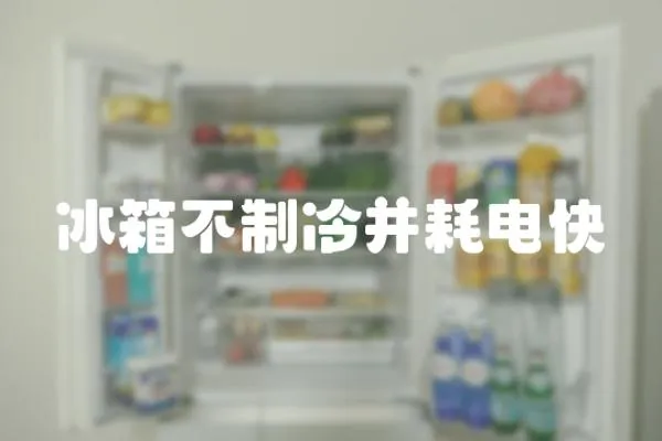 冰箱不制冷并耗電快