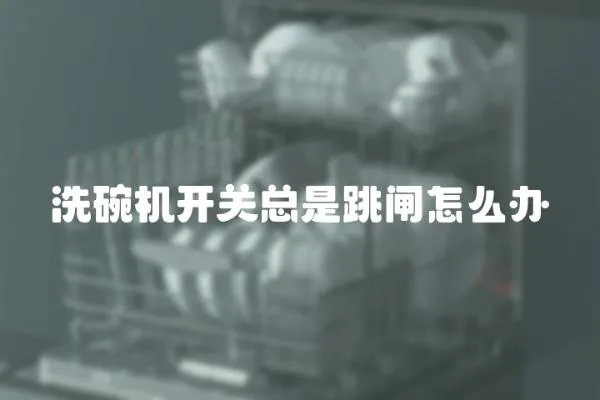 洗碗機開關總是跳閘怎么辦
