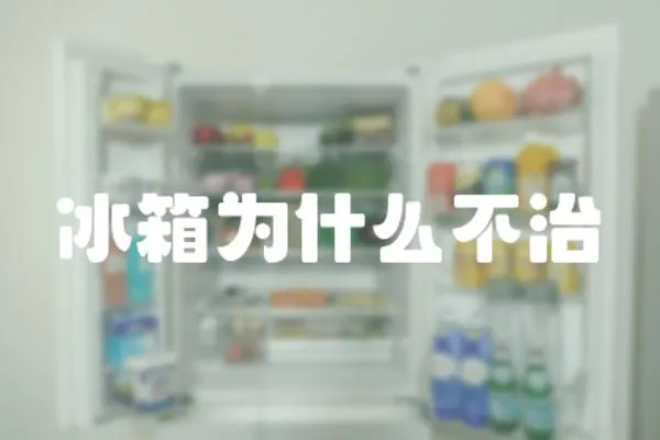 冰箱為什么不治