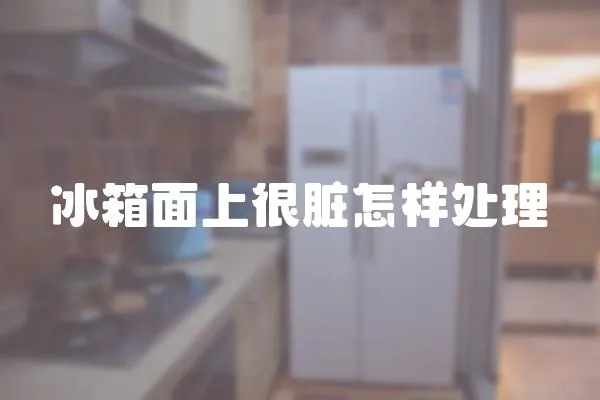 冰箱面上很臟怎樣處理
