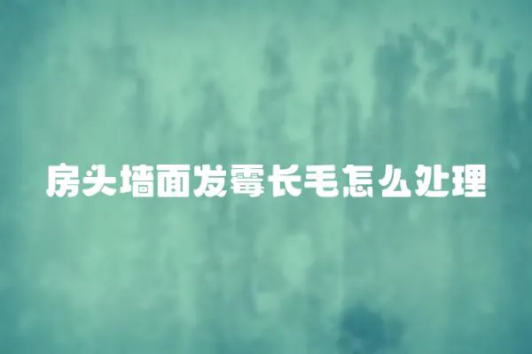 房頭墻面發霉長毛怎么處理