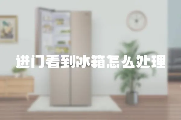 進門看到冰箱怎么處理