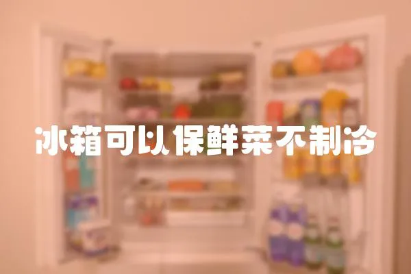冰箱可以保鮮菜不制冷