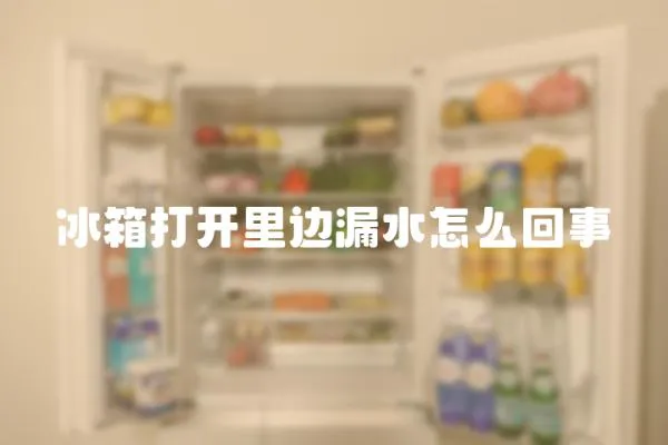 冰箱打開里邊漏水怎么回事