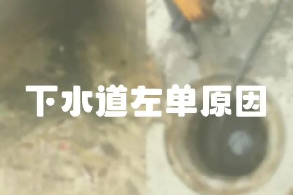 下水道左单原因