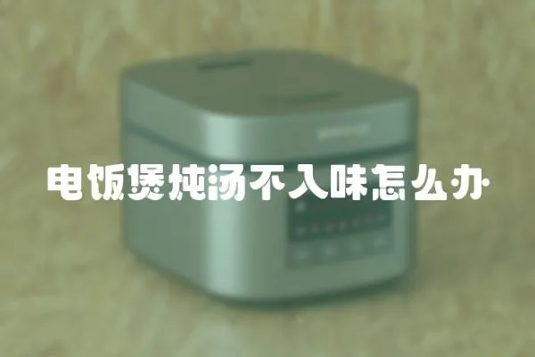 電飯煲燉湯不入味怎么辦