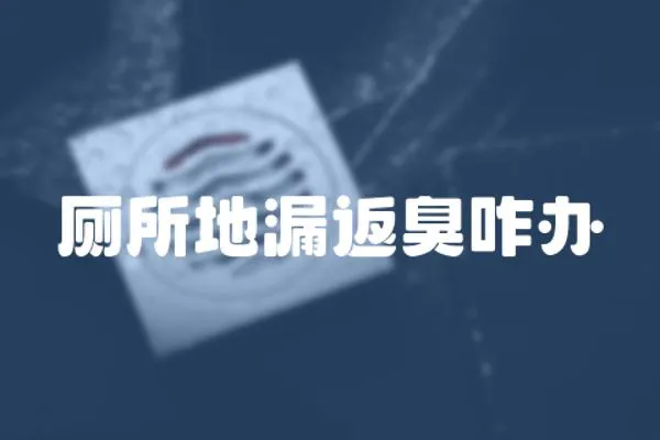 廁所地漏返臭咋辦