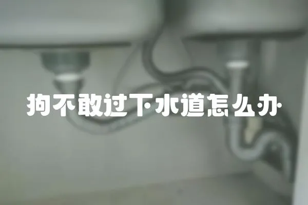 狗不敢過下水道怎么辦