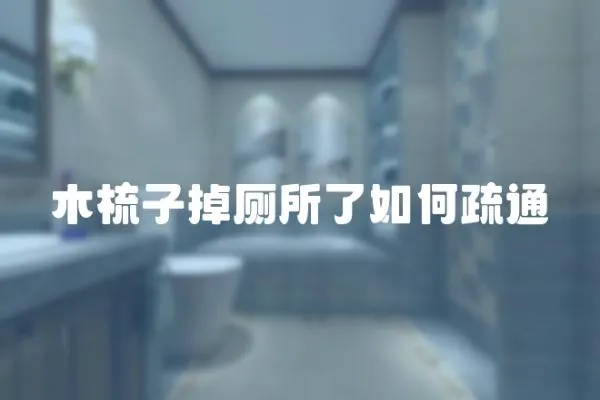 木梳子掉廁所了如何疏通