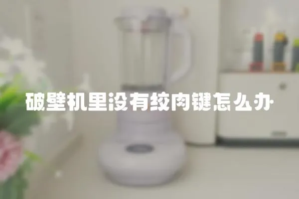 破壁機里沒有絞肉鍵怎么辦