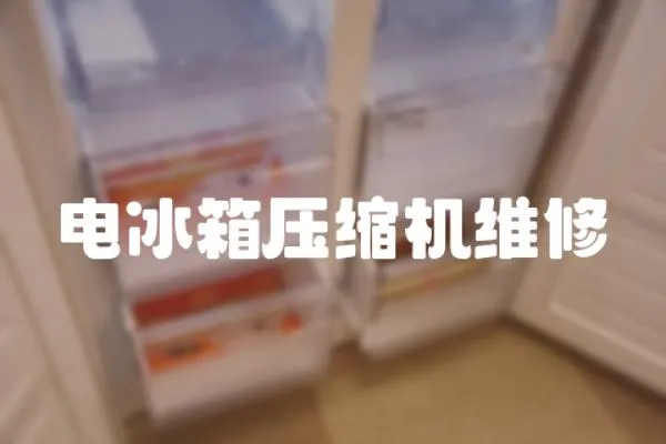 电冰箱压缩机维修