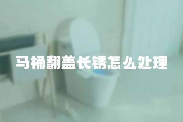 馬桶翻蓋長銹怎么處理