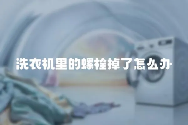 洗衣機里的螺栓掉了怎么辦