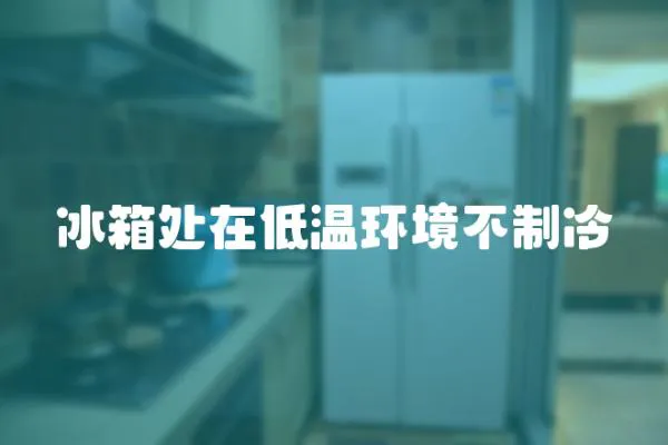 冰箱處在低溫環(huán)境不制冷