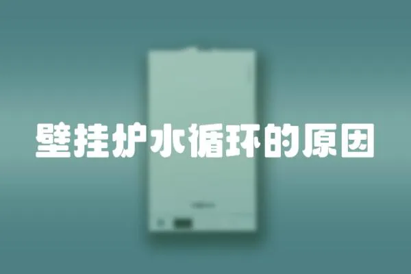 壁掛爐水循環的原因