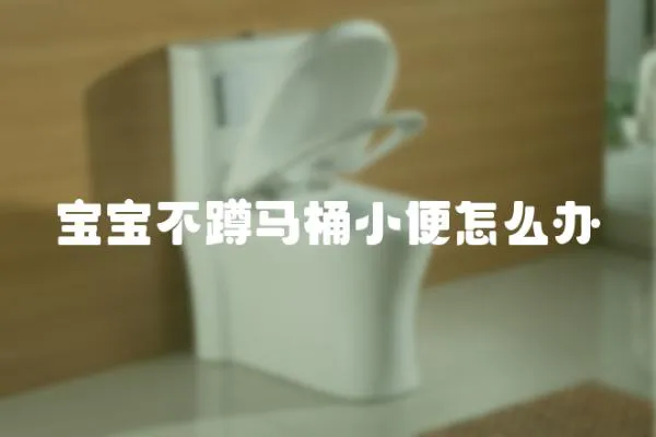 寶寶不蹲馬桶小便怎么辦