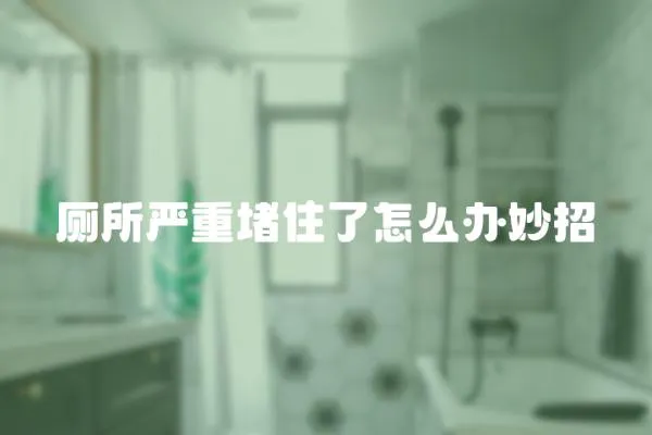 廁所嚴重堵住了怎么辦妙招