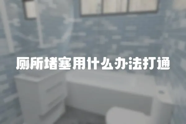 廁所堵塞用什么辦法打通