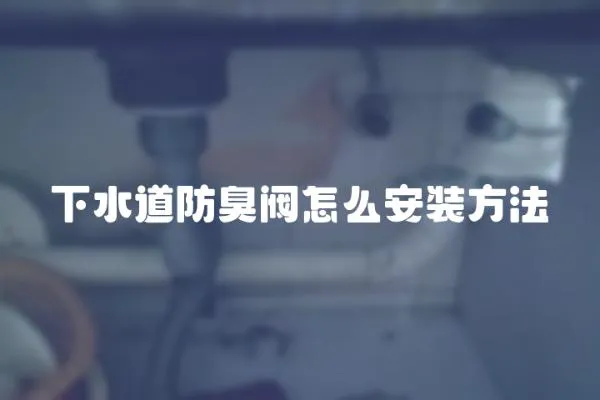 下水道防臭閥怎么安裝方法