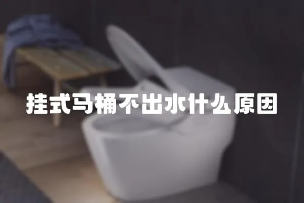 掛式馬桶不出水什么原因