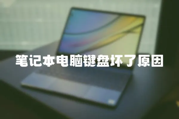 筆記本電腦鍵盤壞了原因