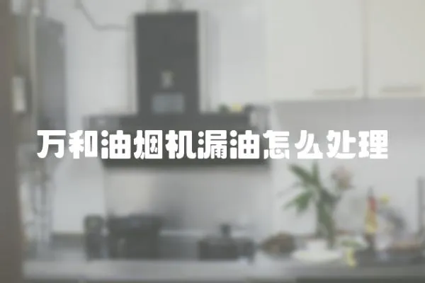 萬和油煙機漏油怎么處理
