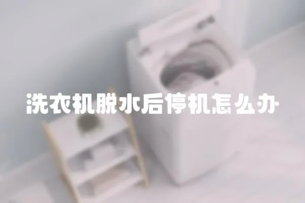 洗衣機脫水后停機怎么辦