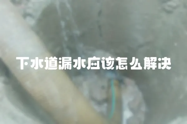 下水道漏水應該怎么解決