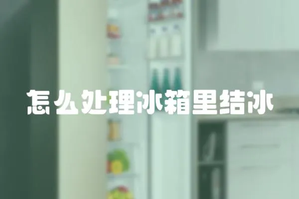 怎么處理冰箱里結冰